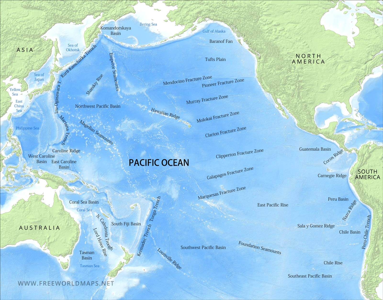 Pacific pacific